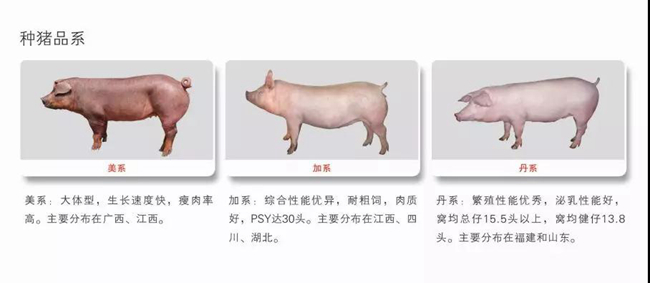 3118云顶集团(中国区)官方网站