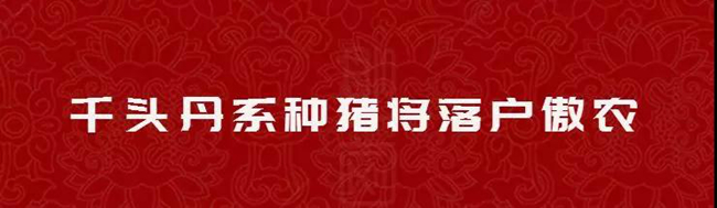 3118云顶集团(中国区)官方网站