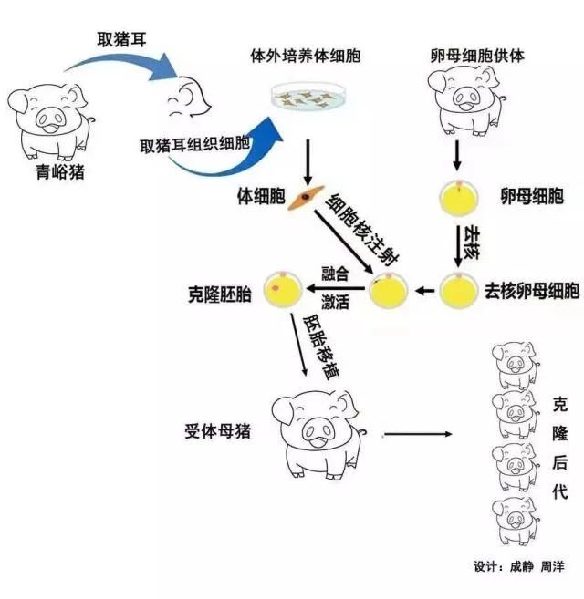 3118云顶集团(中国区)官方网站