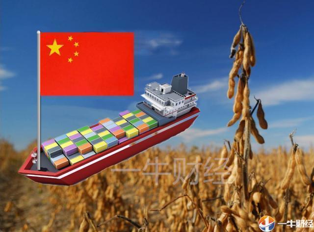 3118云顶集团(中国区)官方网站