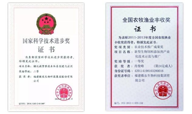 3118云顶集团(中国区)官方网站