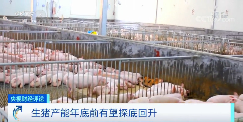 3118云顶集团(中国区)官方网站