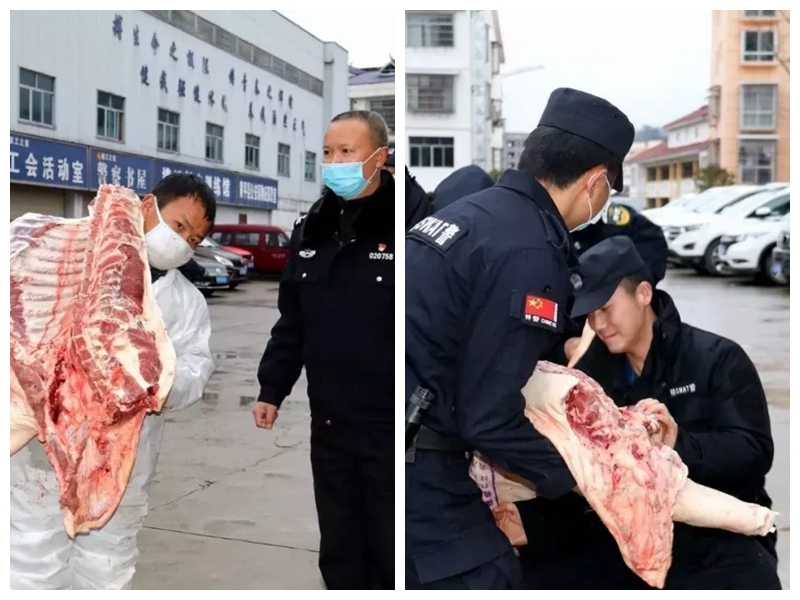 3118云顶集团(中国区)官方网站