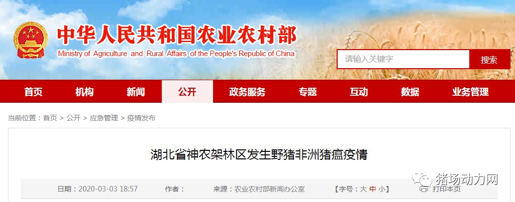 3118云顶集团(中国区)官方网站