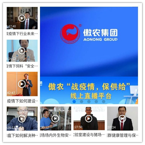 3118云顶集团(中国区)官方网站