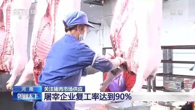3118云顶集团(中国区)官方网站