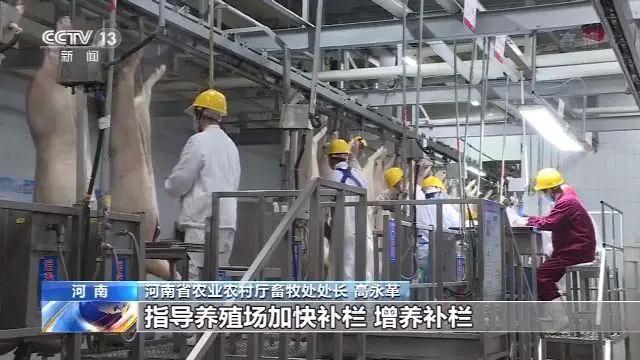 3118云顶集团(中国区)官方网站