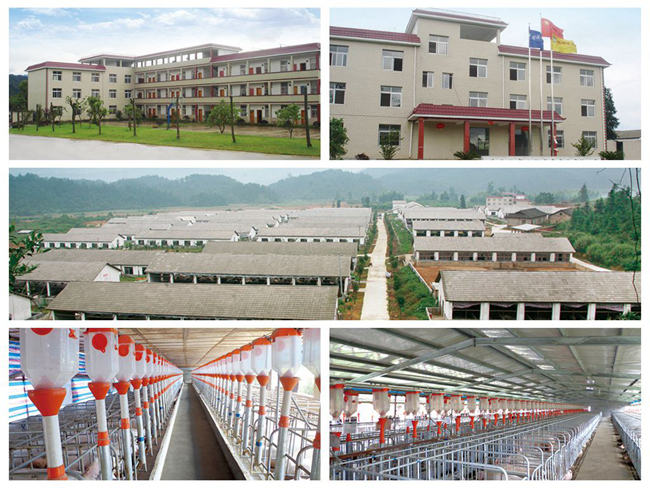 3118云顶集团(中国区)官方网站