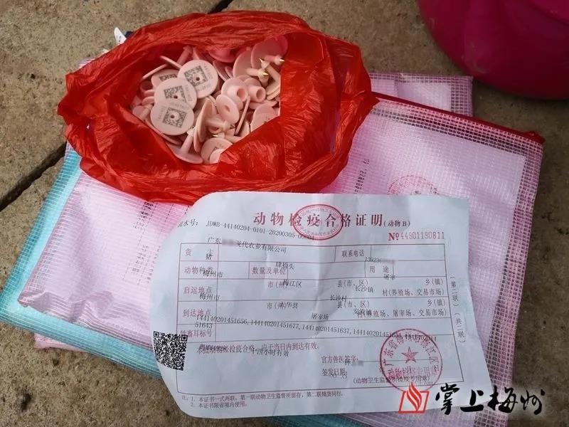 3118云顶集团(中国区)官方网站