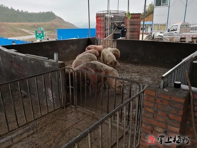 3118云顶集团(中国区)官方网站