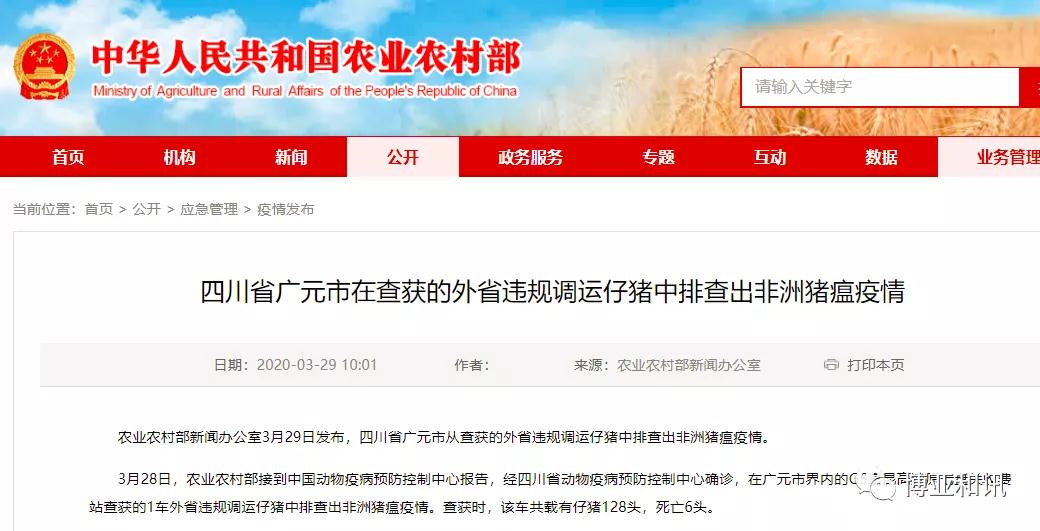 3118云顶集团(中国区)官方网站