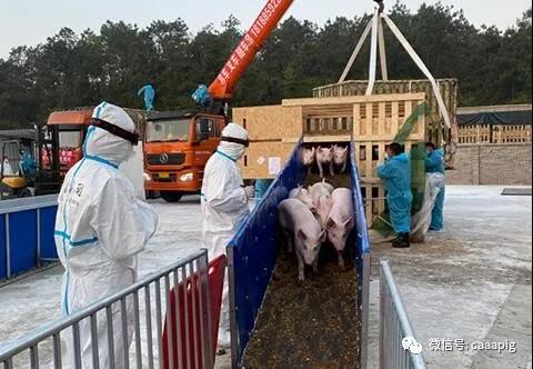 3118云顶集团(中国区)官方网站
