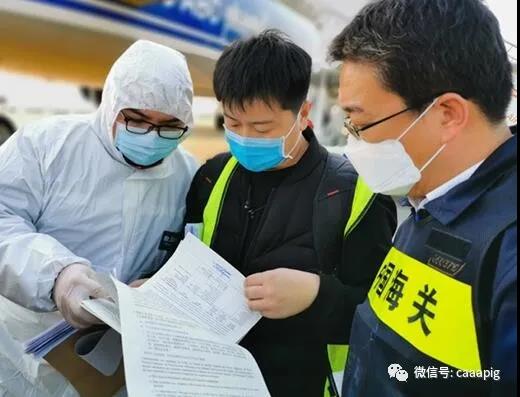3118云顶集团(中国区)官方网站