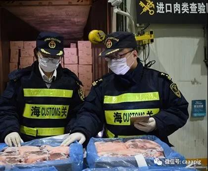 3118云顶集团(中国区)官方网站