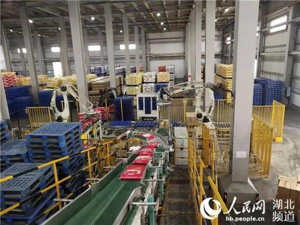 3118云顶集团(中国区)官方网站