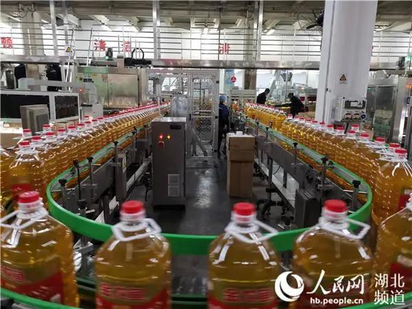 3118云顶集团(中国区)官方网站