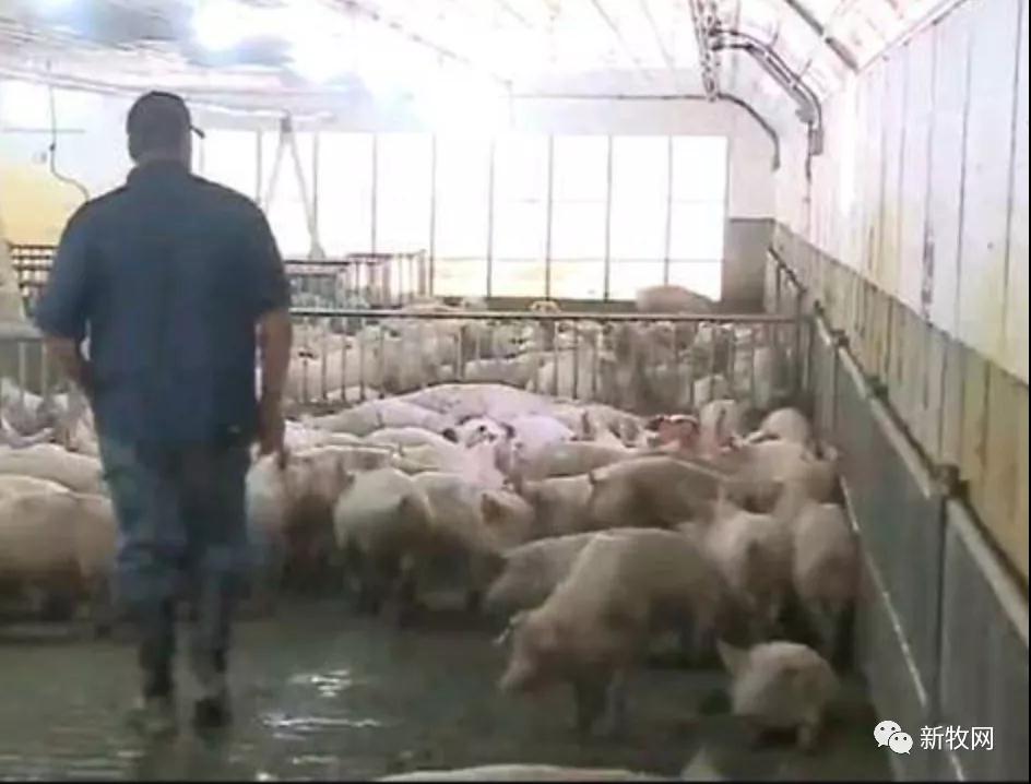 3118云顶集团(中国区)官方网站