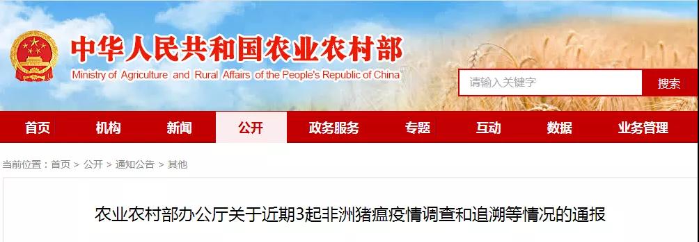 3118云顶集团(中国区)官方网站