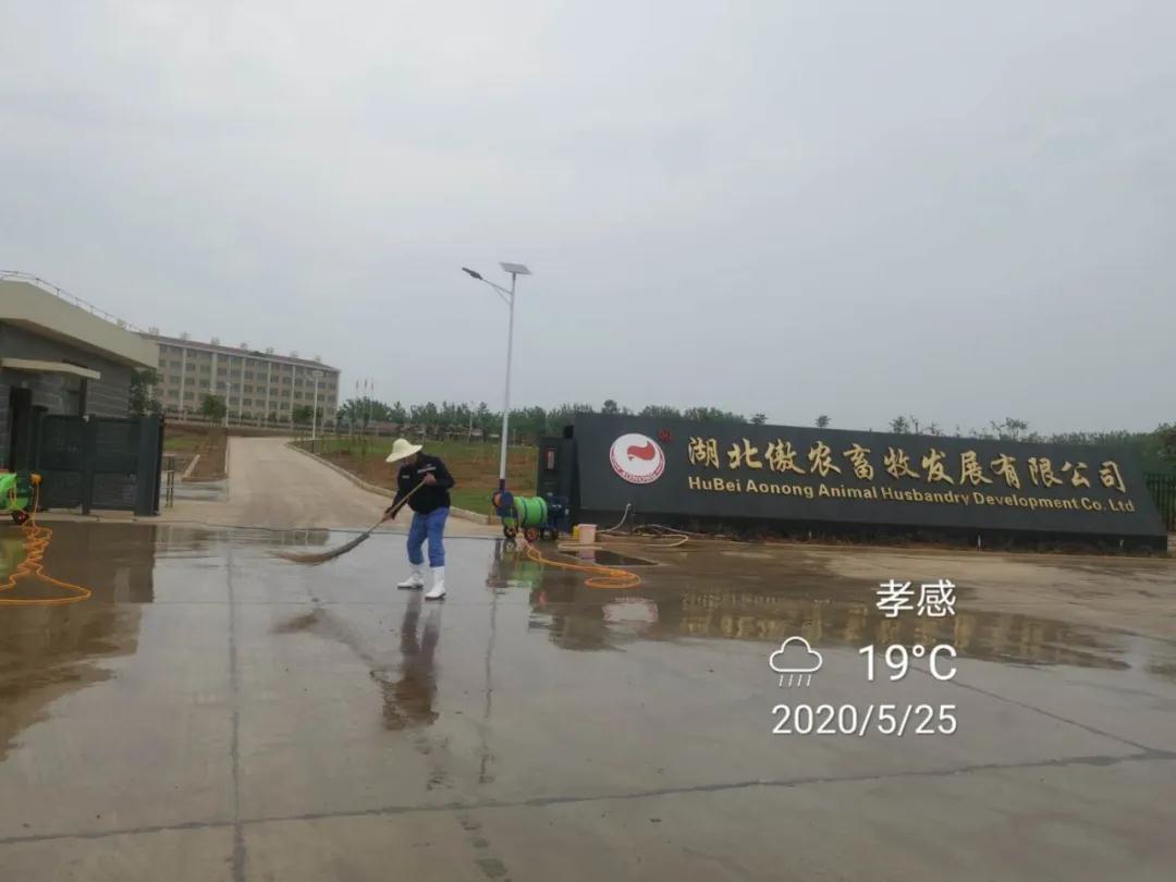 3118云顶集团(中国区)官方网站