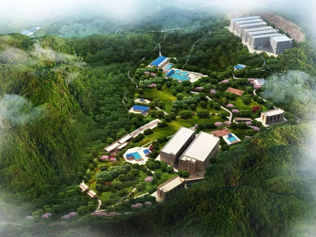 3118云顶集团(中国区)官方网站