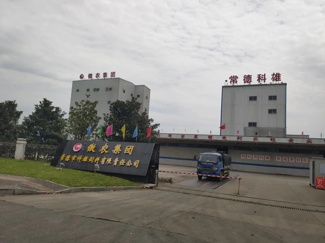 3118云顶集团(中国区)官方网站