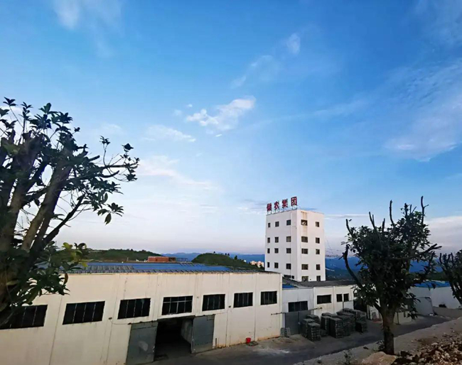3118云顶集团(中国区)官方网站