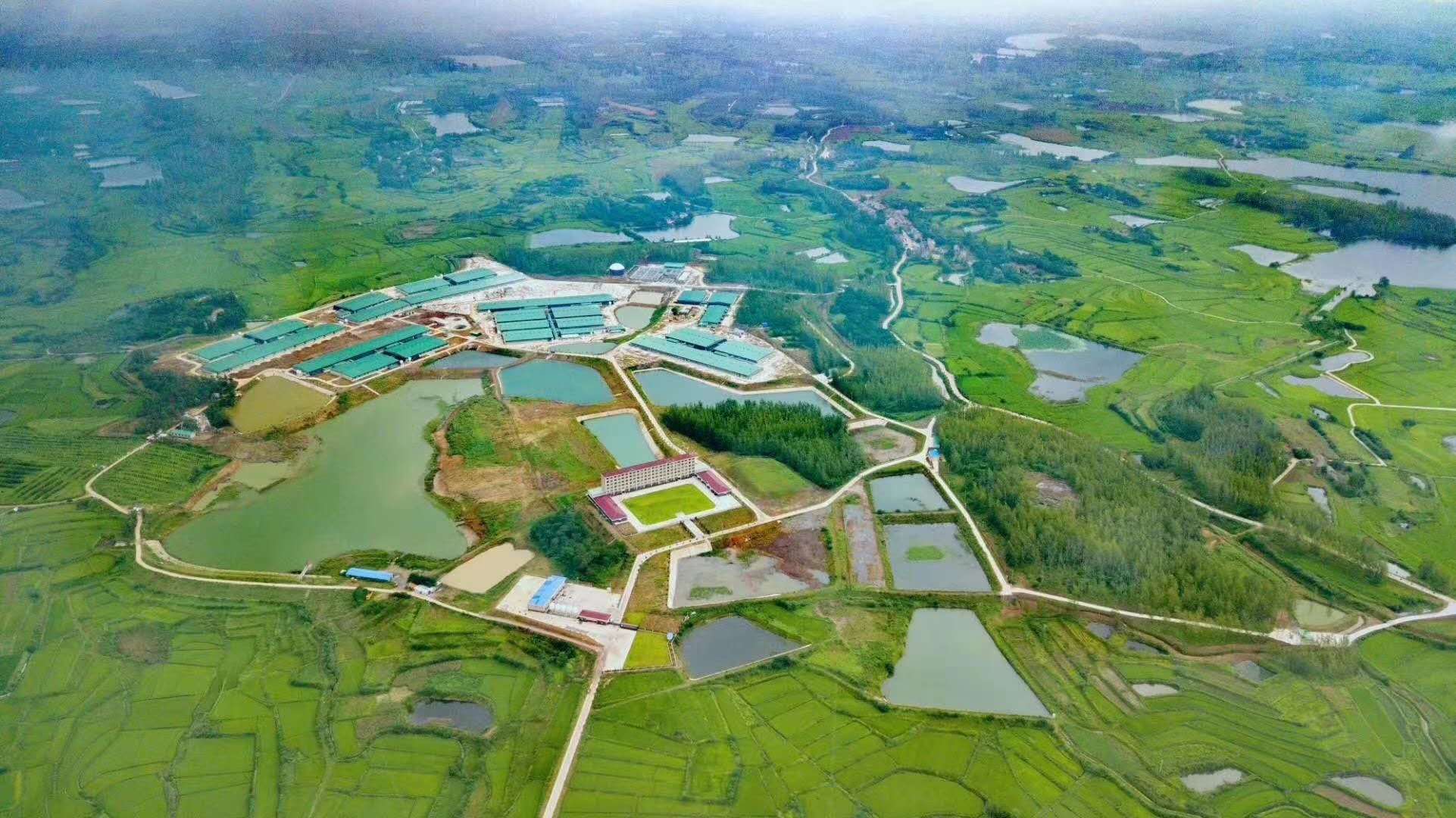 3118云顶集团(中国区)官方网站