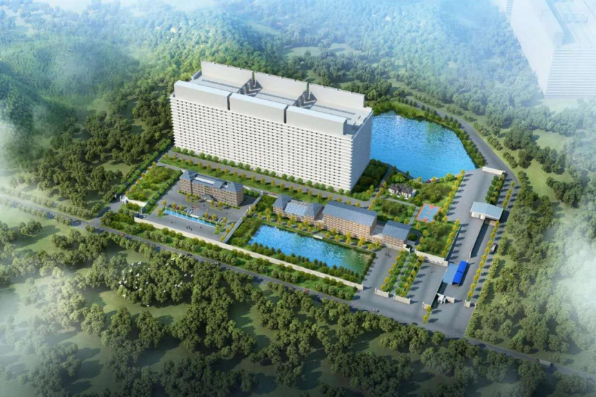 3118云顶集团(中国区)官方网站