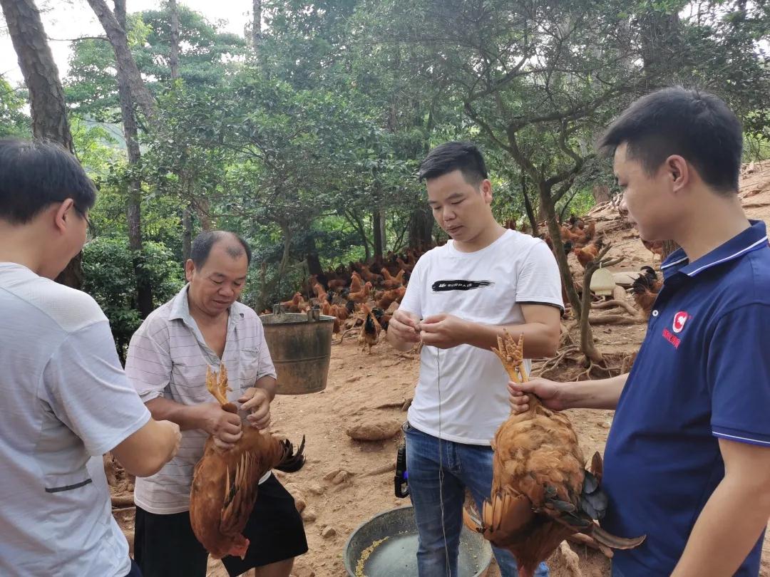 3118云顶集团(中国区)官方网站