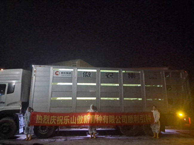 3118云顶集团(中国区)官方网站