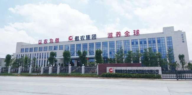3118云顶集团(中国区)官方网站