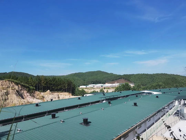 3118云顶集团(中国区)官方网站
