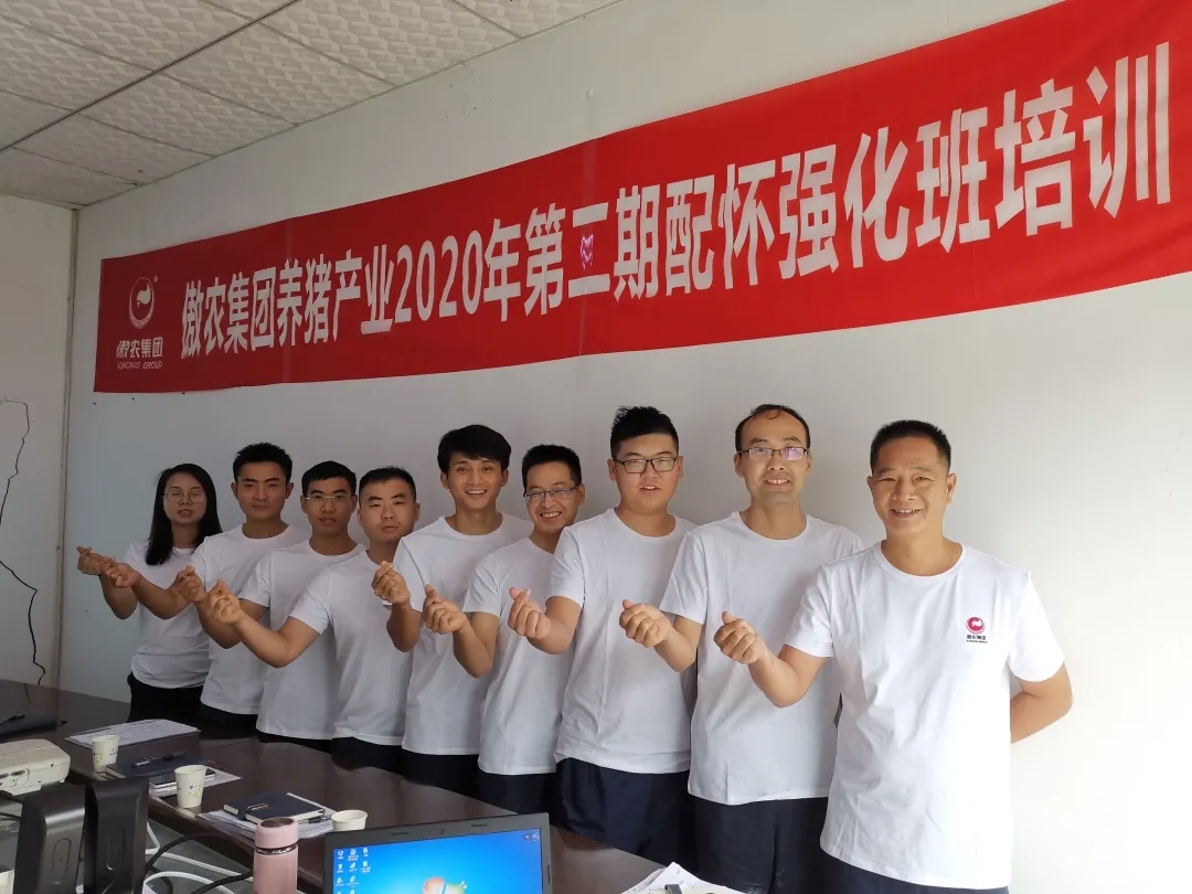 3118云顶集团(中国区)官方网站