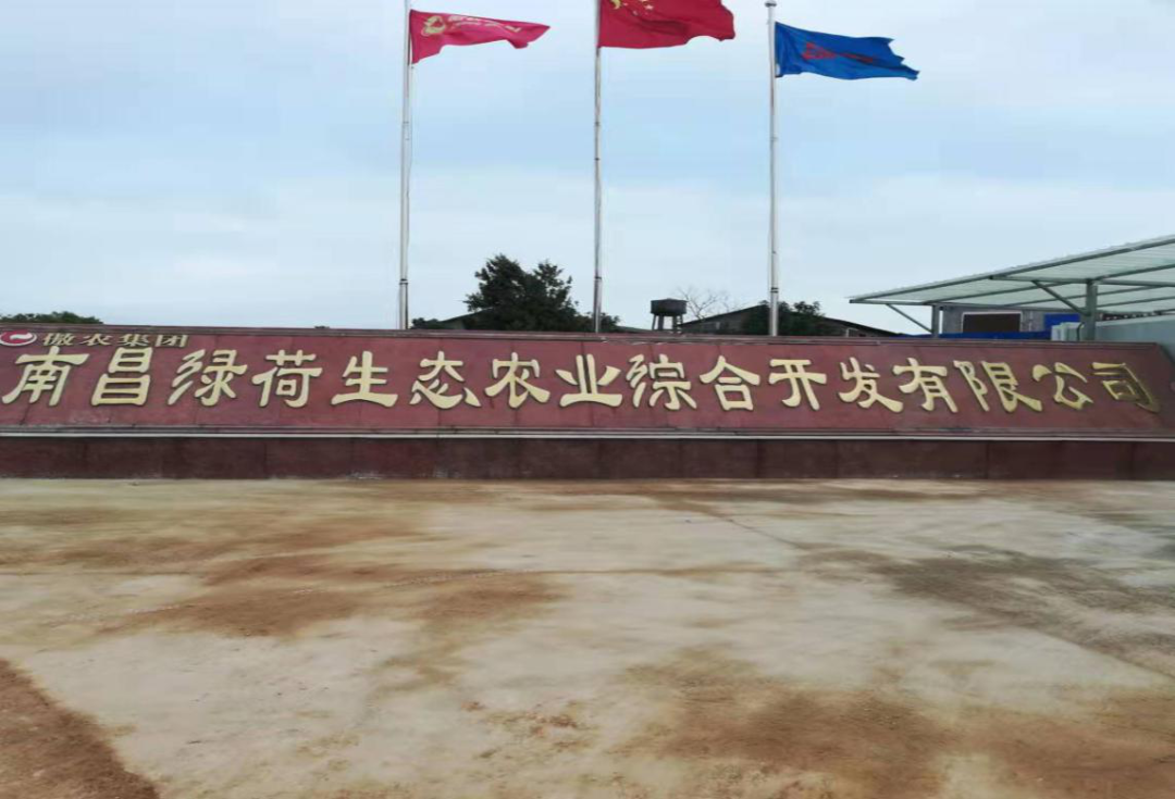 3118云顶集团(中国区)官方网站