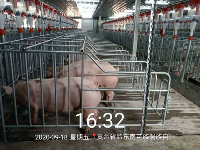 3118云顶集团(中国区)官方网站