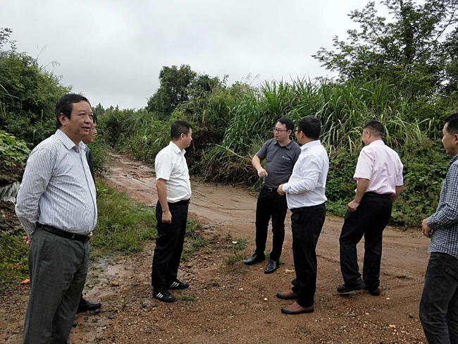 3118云顶集团(中国区)官方网站