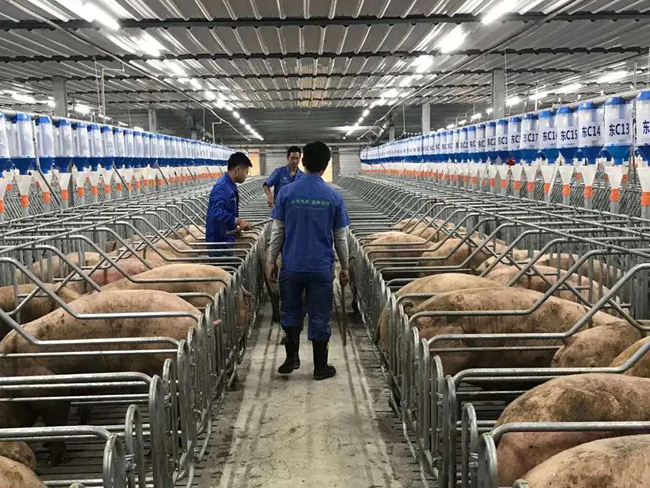 3118云顶集团(中国区)官方网站