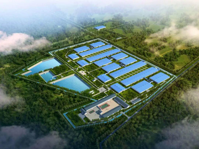 3118云顶集团(中国区)官方网站