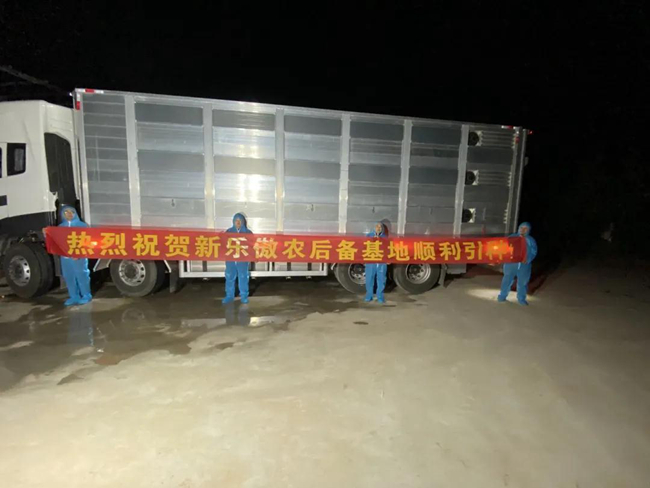 3118云顶集团(中国区)官方网站
