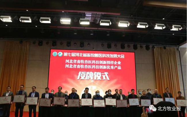 3118云顶集团(中国区)官方网站