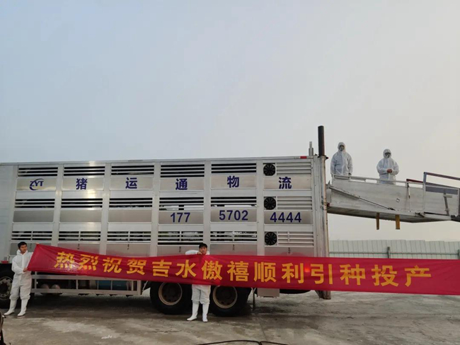 3118云顶集团(中国区)官方网站