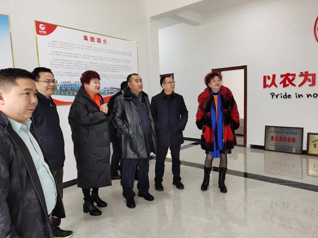 3118云顶集团(中国区)官方网站