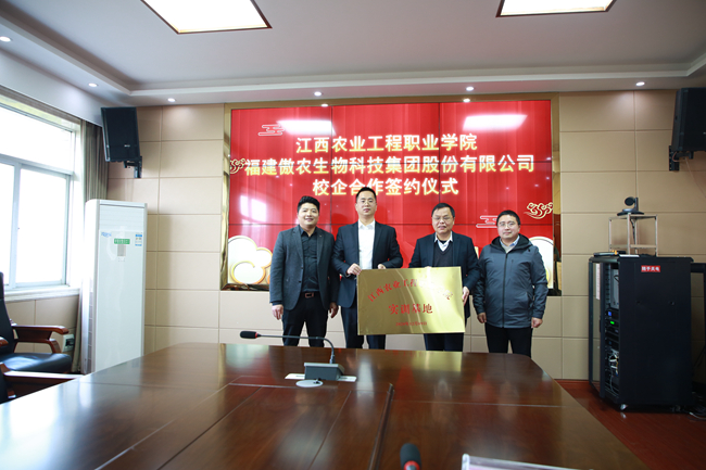 3118云顶集团(中国区)官方网站