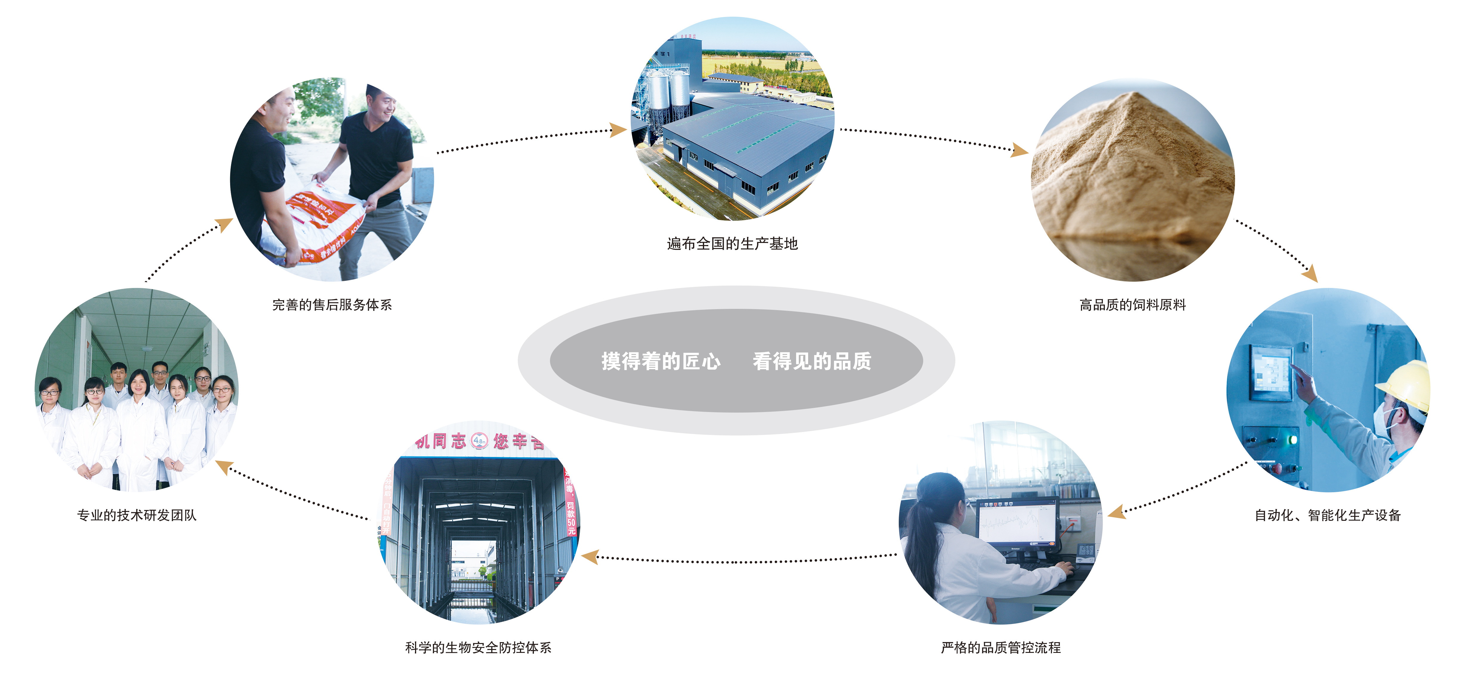 3118云顶集团(中国区)官方网站