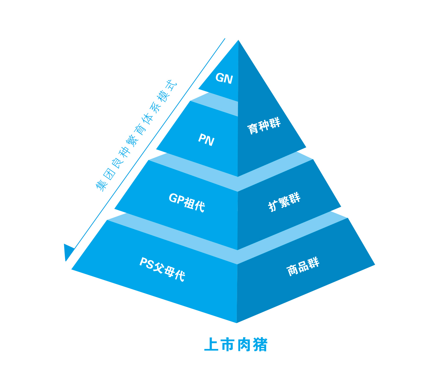 3118云顶集团(中国区)官方网站