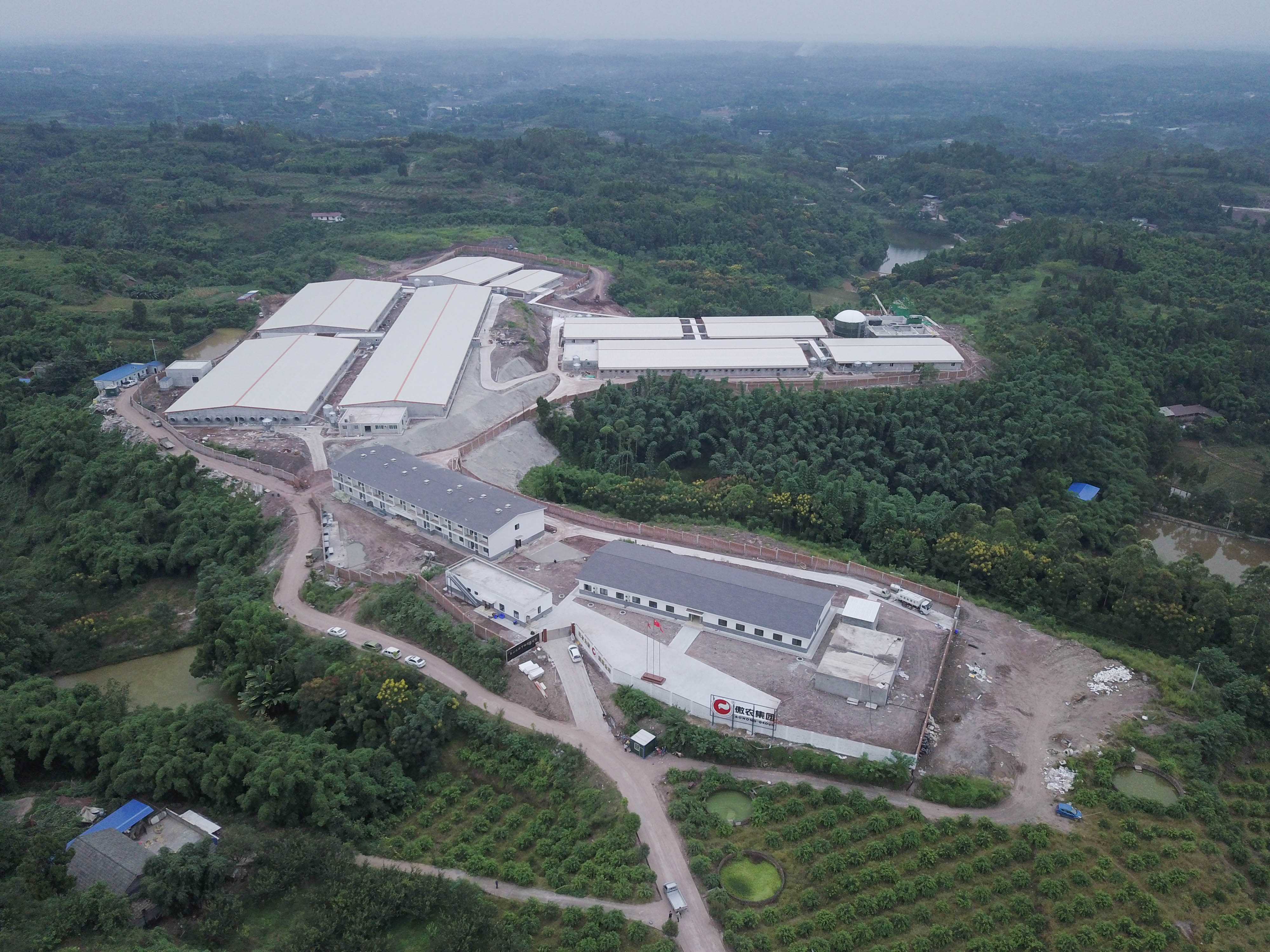 3118云顶集团(中国区)官方网站
