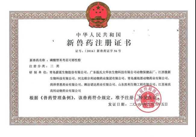 3118云顶集团(中国区)官方网站