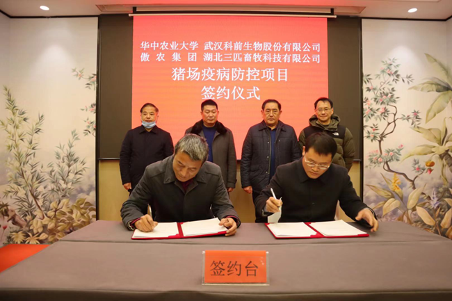 3118云顶集团(中国区)官方网站