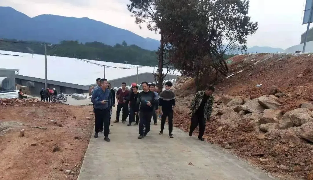 3118云顶集团(中国区)官方网站