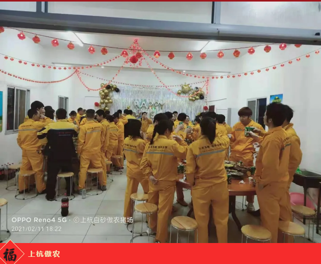 3118云顶集团(中国区)官方网站